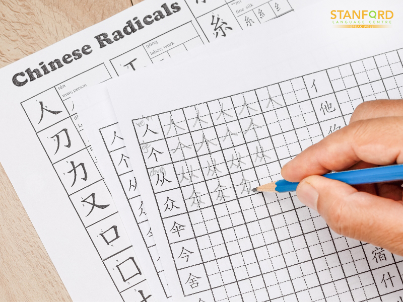 Write down the characters-mandarin language course singapore