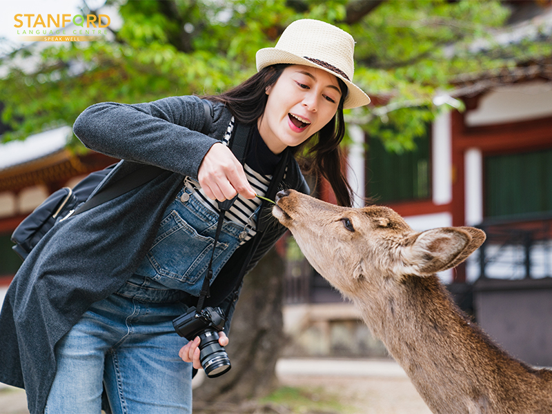 Gaining More Personal Experience With Native Cultures-Online Chinese Classes